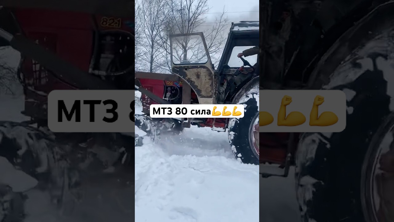 МТЗ 80 сила💪💪💪