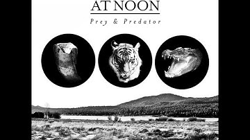 Polaris At Noon - Disconnect