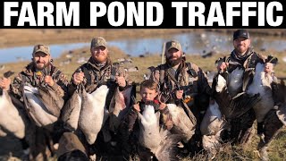 GOOSE HUNTING 2020 | FARM POND TRAFFIC! (DRONE) - Huge Divebomb Decoy Spread
