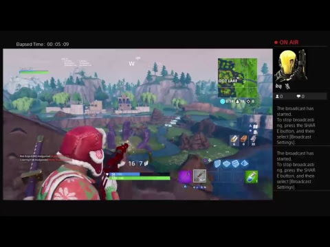 Amazing fortnite Gameplay (lag)