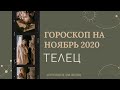 ВАЖНО! ТЕЛЕЦ. Гороскоп на НОЯБРЬ 2020 | Алла ВИШНЕВЕЦКАЯ