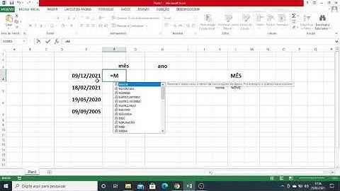 EXCEL - Função mês e ano