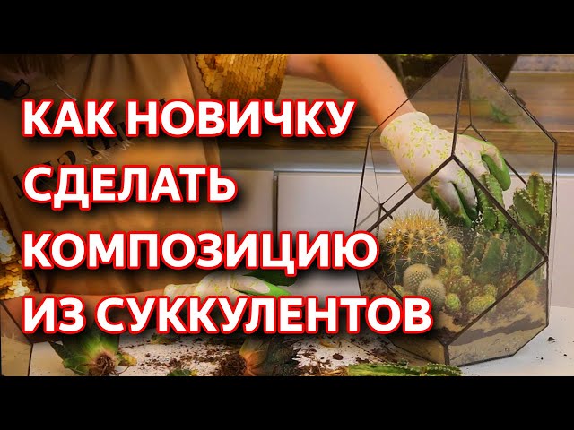 Флорариум своими руками для украшения интерьера