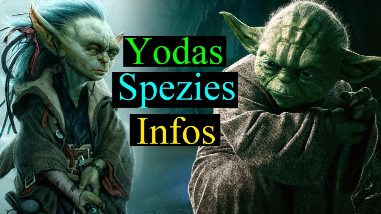 Yodas Spezies Yodas Spezies