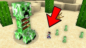 HOW NOOB BUILD HOUSE INSIDE CREEPER STATUE! Minecraft NOOB vs PRO! 100% TROLLING MOB BASE LITTLE