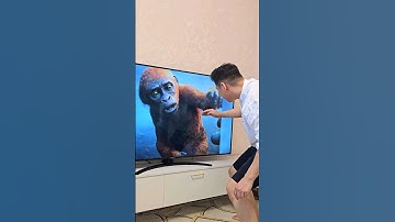 Baby Kong funny moment 😂🤣Godzilla x Kong- The New Empire 2024 #funny #viral #memes
