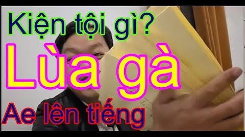 Nhục mặt chưa...ytb sạch bắt bài Vô Thùng lùa gà pháp lý , người bị kiện phản ứng ra sao ?