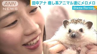 はぁ～疲れた！そんなアナタをこのコたちが癒します(19/03/14)