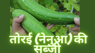 Turai sabji|तुरई की सब्जी बनाएं सिर्फ 5 मिनट में। Ridge gourd curry