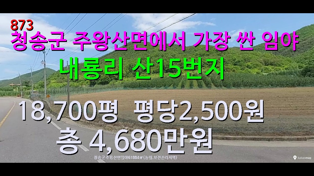 [번호873}경북 청송군 주왕산면 임야 급매물