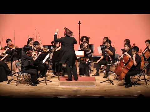 中野弦楽アンサンブル ナ·カージョ第３回演奏会 パイレーツ・オブ・カリビアン