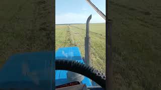 Сенокос 2023🌾🚜 Трактор МТЗ-80 с ППР-Ф-180 и Т-40 с ГВН-5🚜