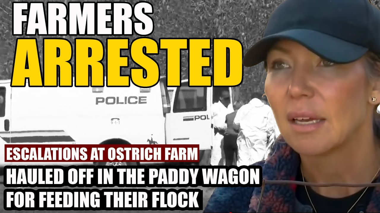 FARMERS ARRESTED Hauled off in a "Paddy Wagon" for feeding their ...