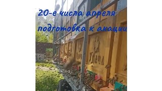 ПАСЕКА ,ПЧЕЛОВОДСТВО ДЛЯ НАЧИНАЮЩИХ С НУЛЯ,СЕЗОН 2022