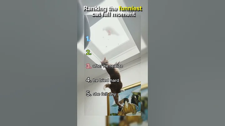 Video 11647751: hilarious cat fails, laugh cats hilarious, loud cat