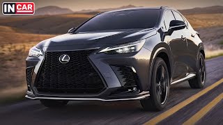 NEW LEXUS NX 2022 | All the details and details!