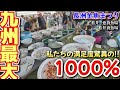 金魚の種類が圧倒的な九州最大の金魚の販売イベント