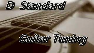 D Standard GUITAR TUNER D G C F A D