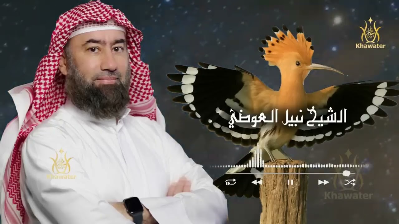 استكن وخلي القصة تأخذك لعالم آخر رحلة الى عالم الجن والمردة قصص قبل النوم 🎧 نبيل العوضي