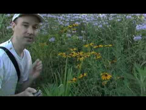 Prairie Vlog