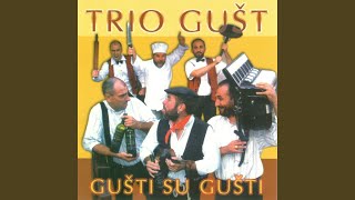 Video thumbnail of "Trio Gušt - Pop MIx"