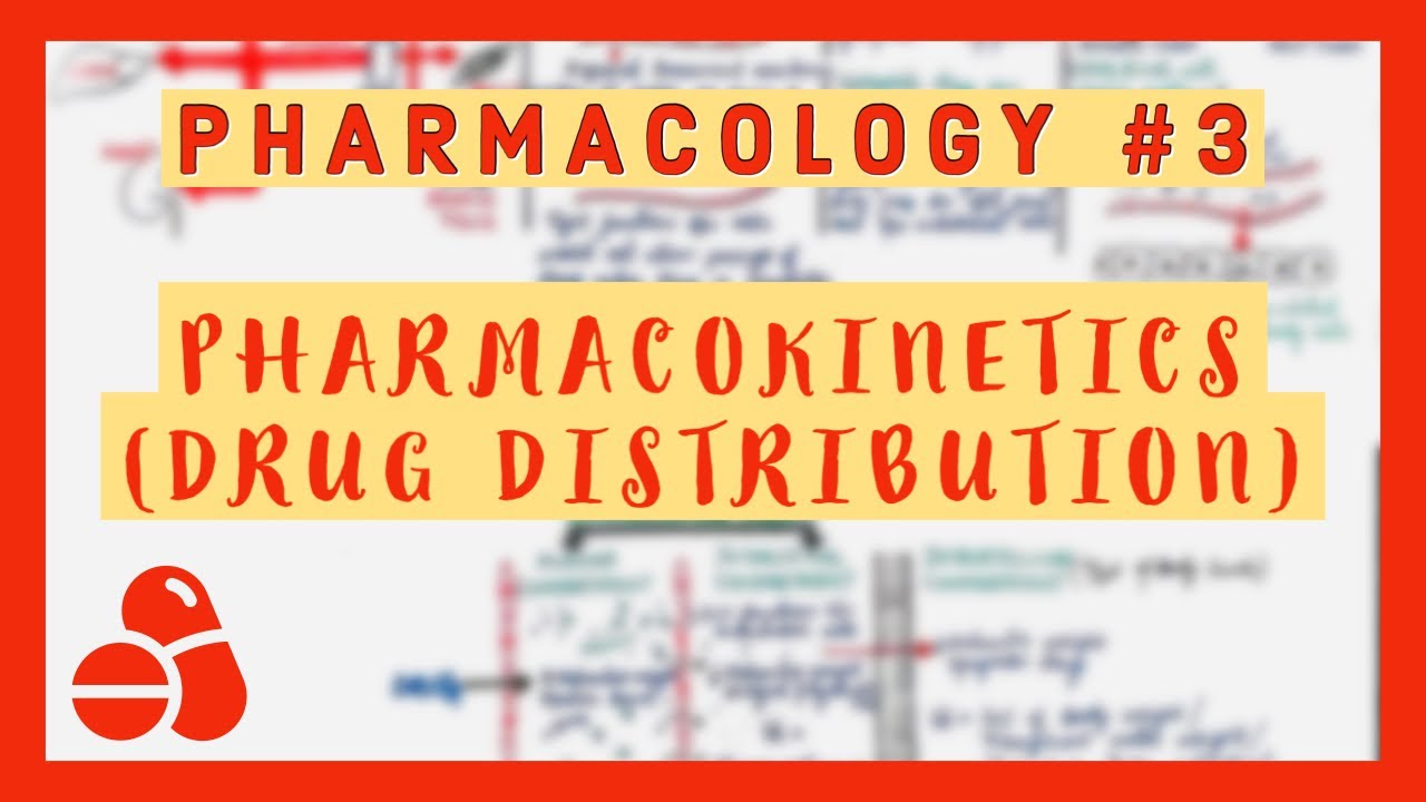 Pharmacology #3 - Pharmacokinetics (Drug Distribution) - YouTube