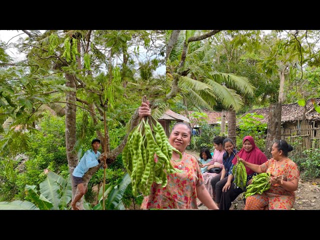 PANEN PETE LUR || MASAK PETE CUMI ASIN