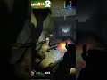 left 4 dead 2   MOSCOW     #zombieapocalypse #gameplay