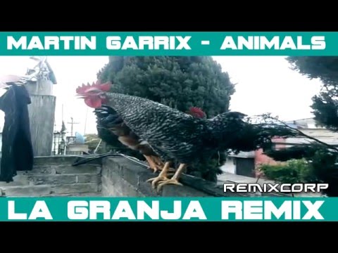 MARTIN GARRIX   ANIMALS LA GRANJA REMIX 2016 NEW SONG