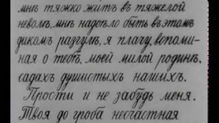 Стенька Разин (Понизовая вольница) / 1908 год