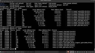 Install Nginx on Red Hat Linux Enterprise and Make VirtualHost