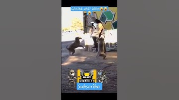 Canine unit codm #shorts #codm #cod #sigma #gaming #viralshorts