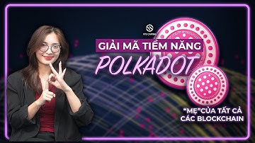 POLKADOT Có Phải Kẻ Thay Đổi Cuộc Chơi Crypto? Giải Mã Chi Tiết Tiềm Năng Tăng Trưởng Của POLKADOT