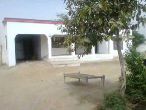 Nice Attractive FARM HOUSE  Vehari Pakistan  YouTube