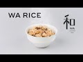【WA RICE】Món ăn Nhật Bản｜Cơm thập cẩm の動画、YouTube動画。