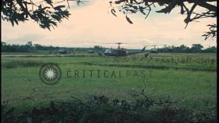 UH-ID Huey helicopters unload US 2nd Battalion, 14th Infantry, 1st Brigade soldie...HD Stock Footage