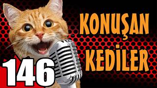 Konuşan Kediler 146 - En Komik Kedi Videoları - Pati TV