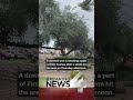 Downed tree closes part of First Avenue in Tucson