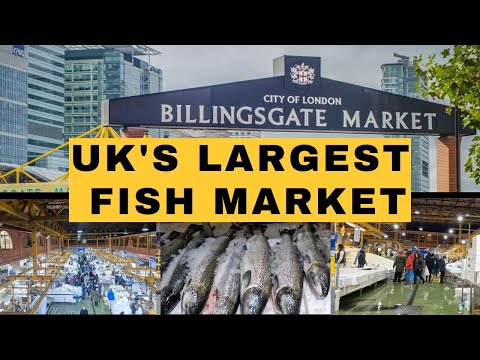 Video: Kan allmänheten gå till Billingsgate Market?