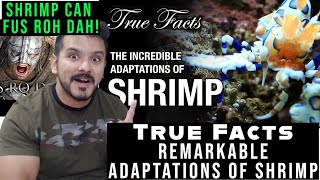 True Facts: The Remarkable Adaptations of Shrimp (zefrank) CG Reaction