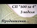 Продвижения моих процессов и готовая работа \ #СП500за4 Неделя 3 \ УльянаChe вязание