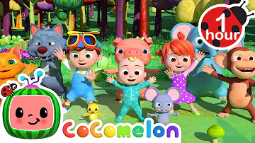 Animal Dance Song | CoComelon | Nursery Rhymes for Babies