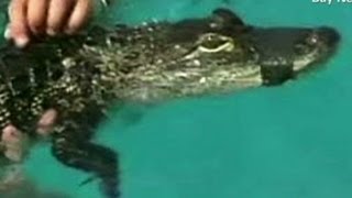 RidicuList: Throw best kids' pool party ever