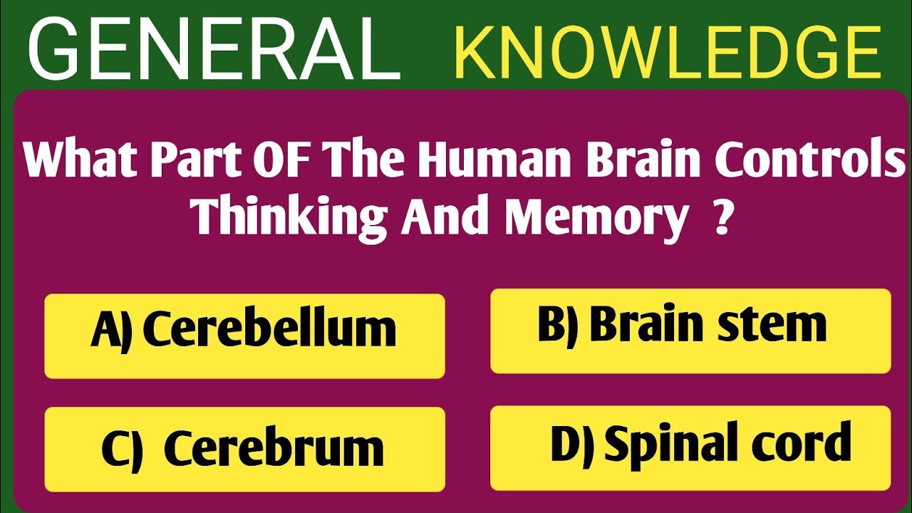 Can You Score 12/12? GK Challenge For Smart Minds! General knowledge Questions Quiz// Trivia Quiz// 