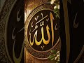 Allah Hafiz 🥰 share the #unfrezzmyaccount #islamicstoriesinurduandhindi #shortsfeed #viral