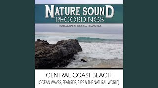 Glistening Breaking Waves