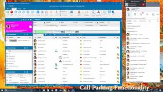 Bridge Communications and the Skype Operations Framework Information