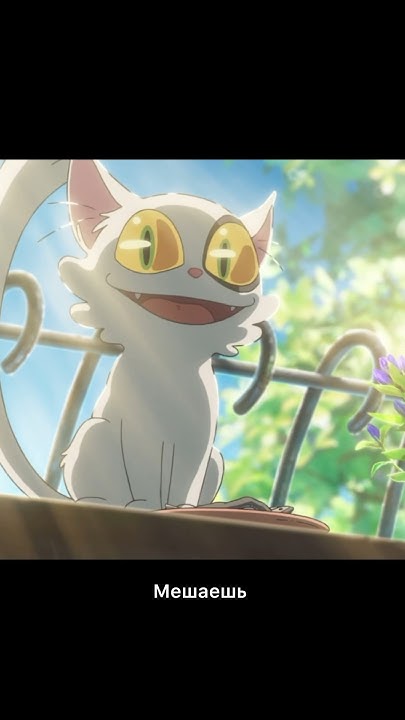 Странный кот #аниме #anime - YouTube