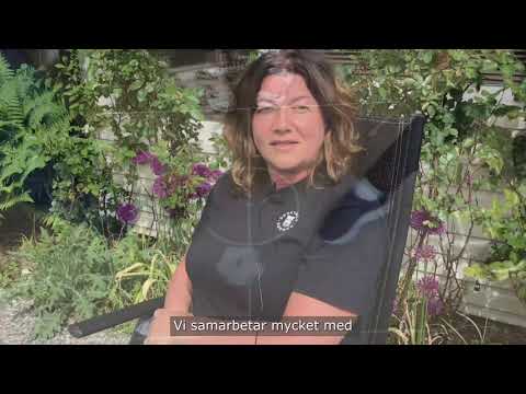 Video: Svalans Svalstjärna