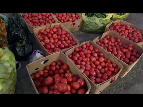 Аку бестен идоф ма хдма тариф мекнм нашид😂